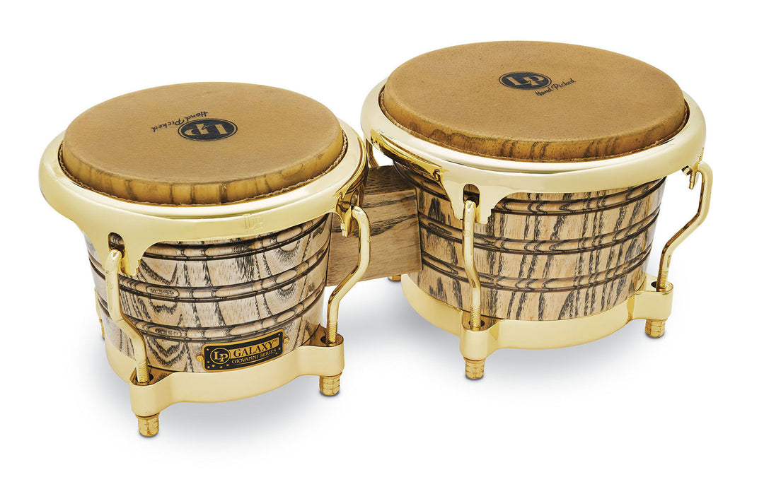 Latin Percezione Bongo Galaxy Giovanni - hardware dorato (LP793X)