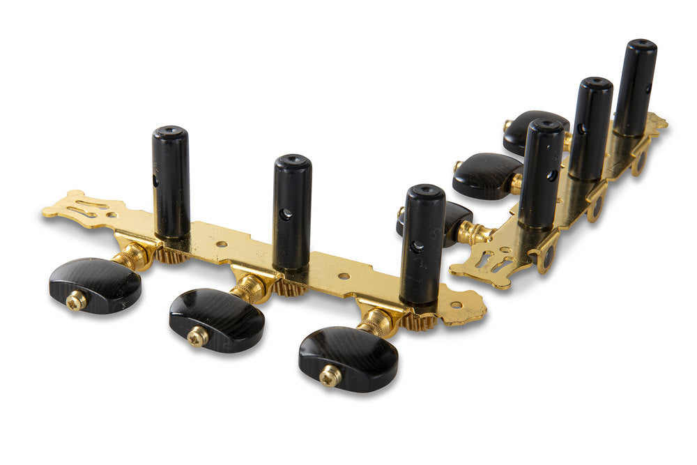 GEWA meccaniche per chitarra classica, color oro con lira, bottoni in acrilico nero