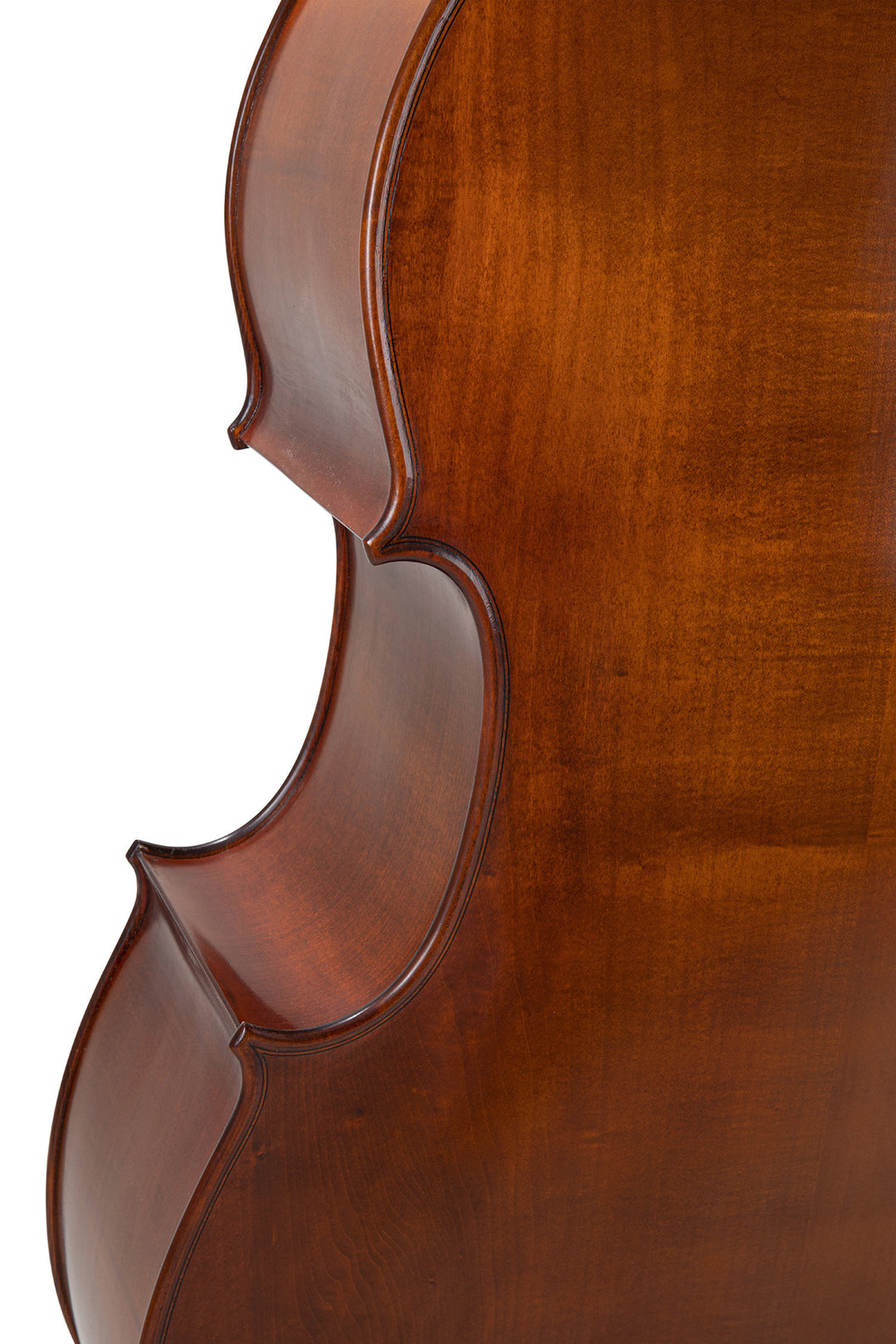 GEWA Contrabbasso Premium Line All-solid Model - 3/4 (Configurato nei laboratori principali GEWA)
