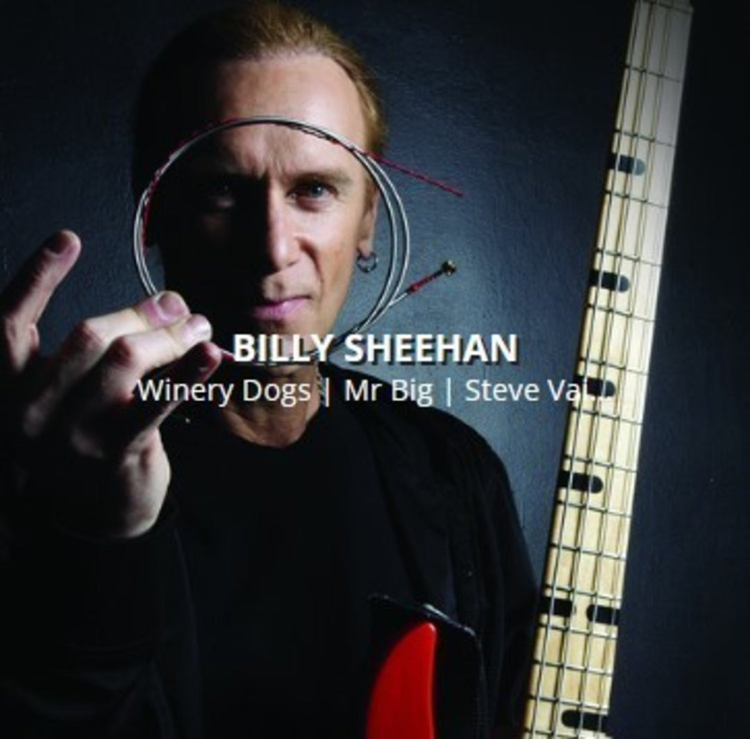 Rotosound Corde per basso elettrico Swing Bass 66 - Set 4 corde Billy Sheehan Custom 43-110 (BS66)