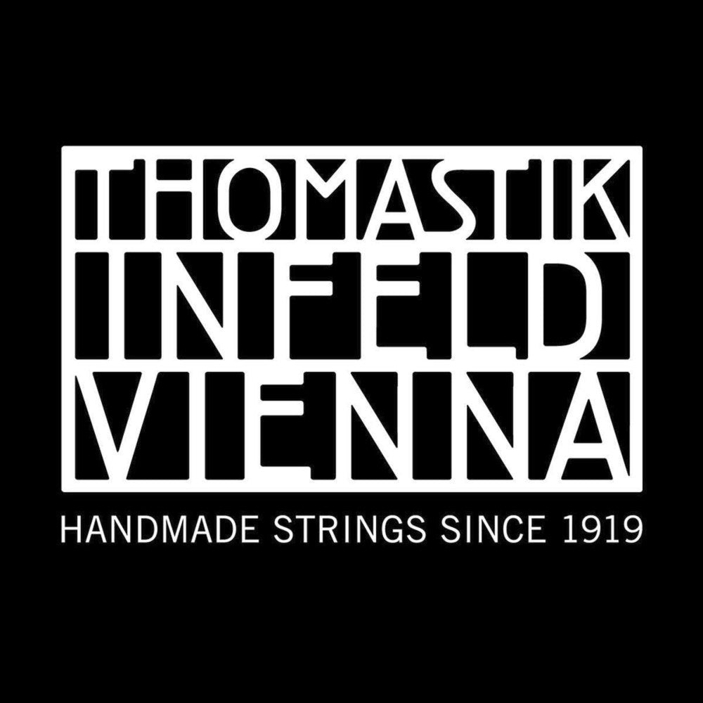 Thomastik-Infeld Superalloy corda per chitarra elettrica .013, acciaio lucido (IP13)