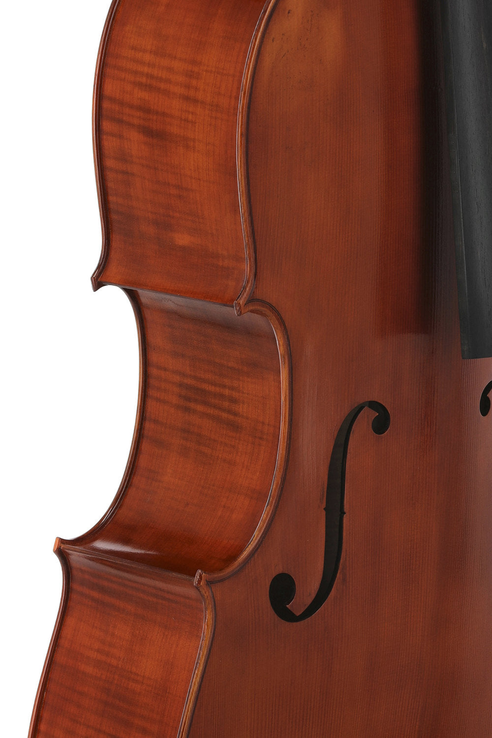 GEWA Europa Maestro violoncello 4/4, vernice ad alcool maroon