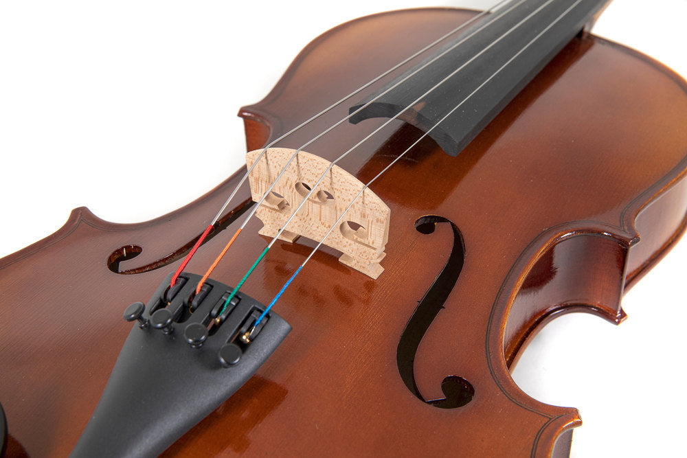 GEWA Allegro viola 38,2 cm con custodia sagomata e arco in massaranduba