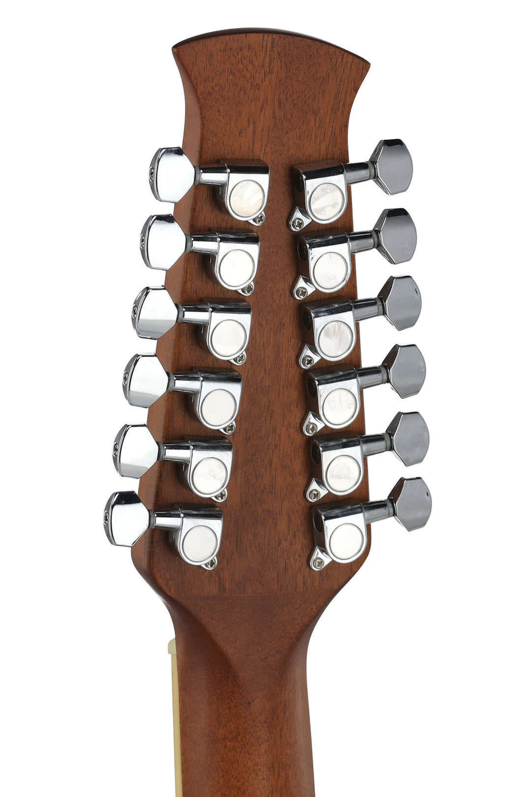 Applause E-Acoustic chitarre AB2412II Mid Cutaway 12 corde - Black Satin (AB2412II-5S)