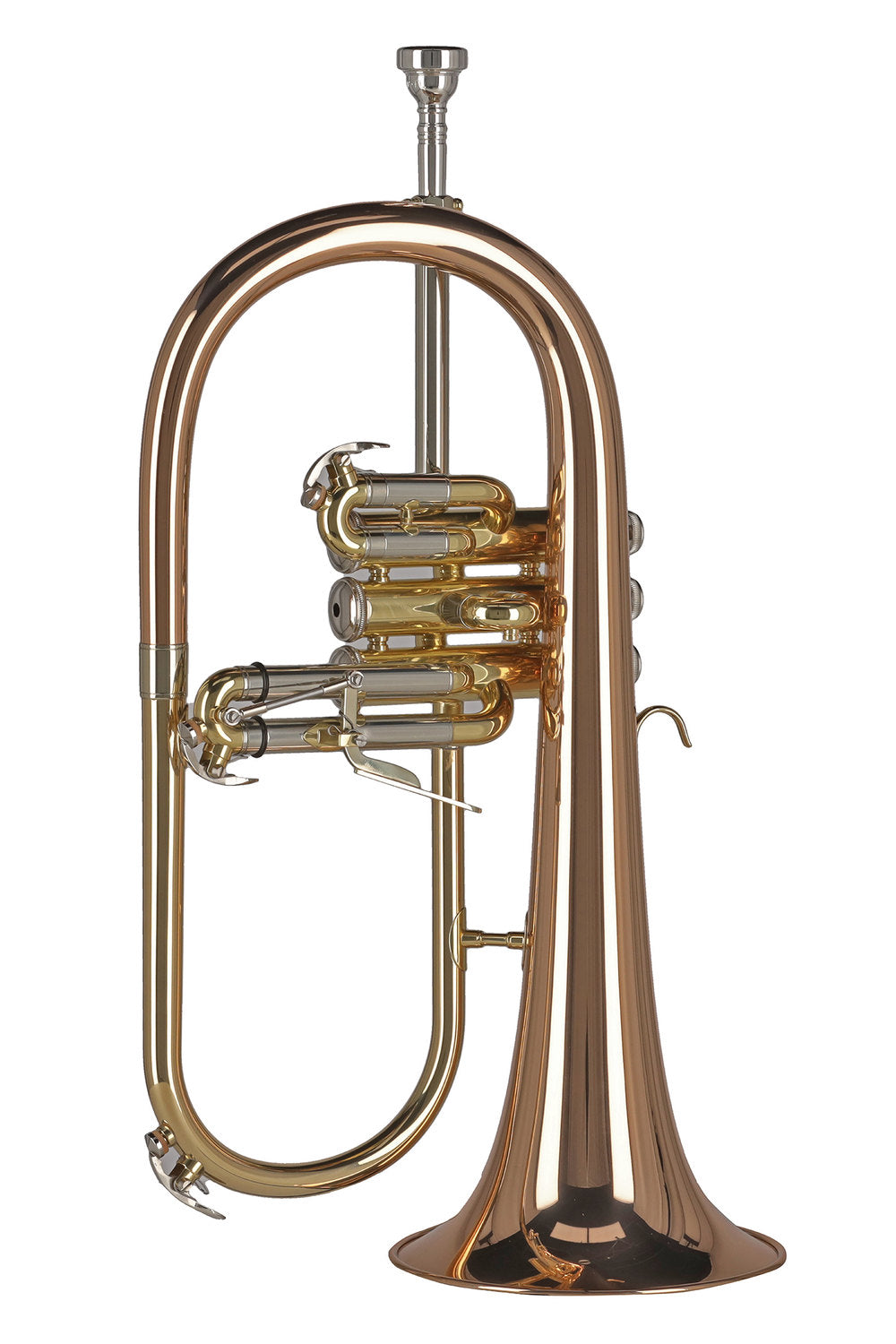 GEWA Ambition FH501 flicorno in Sib, laccato trasparente
