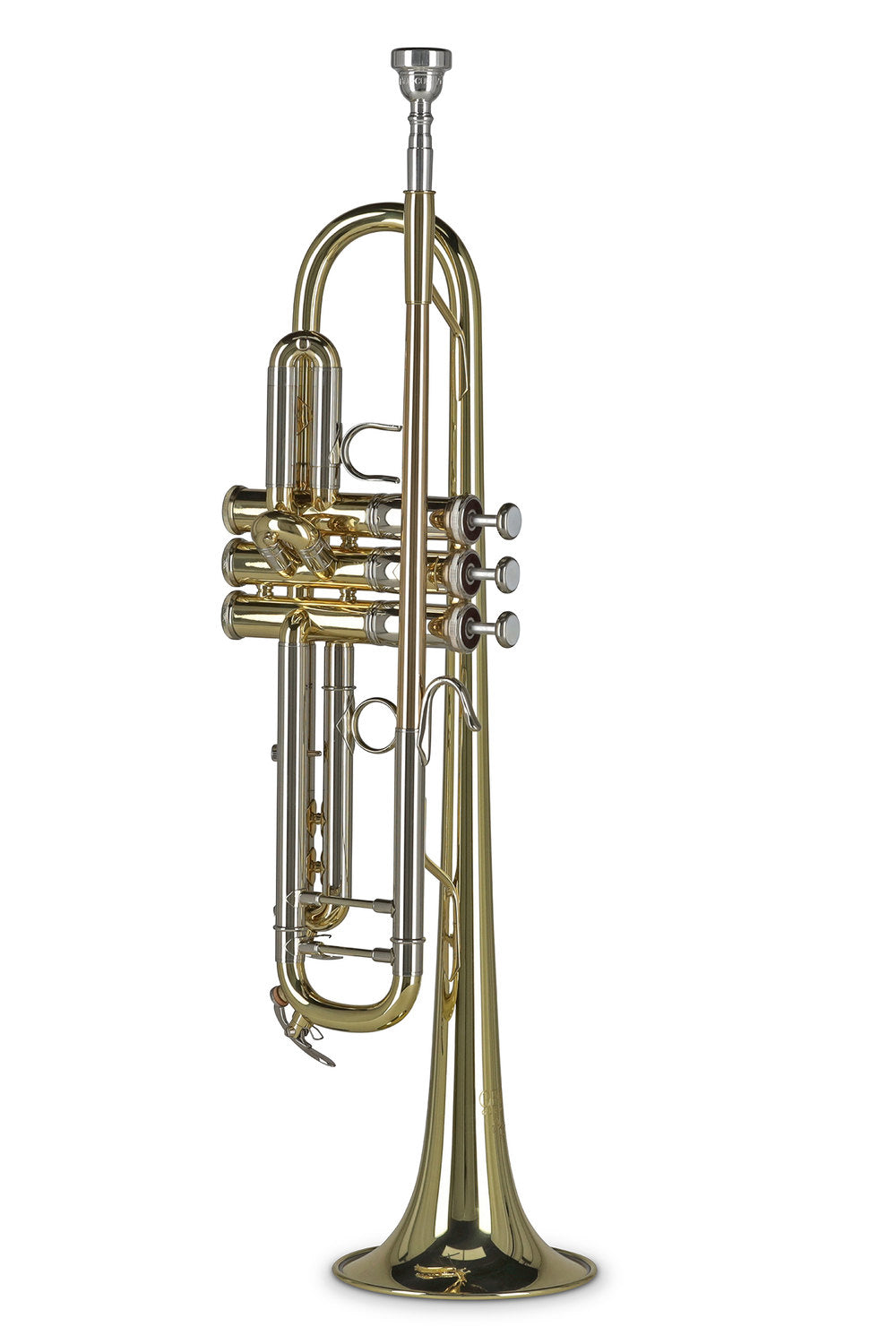 GEWA Vision TR372 trombe in Sib, vernice trasparente