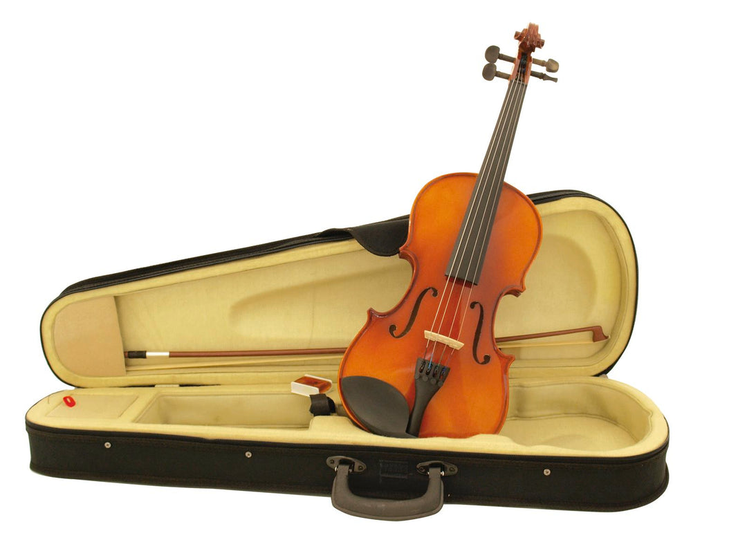 DiMavery Violino 4/4 con Arco e Custodia