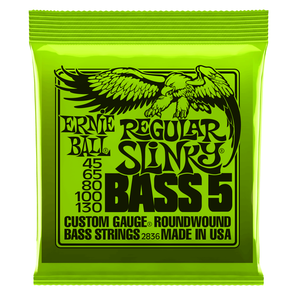 Ernie Ball Slinky Nickel Wound Bass String 5, Bass Guitar