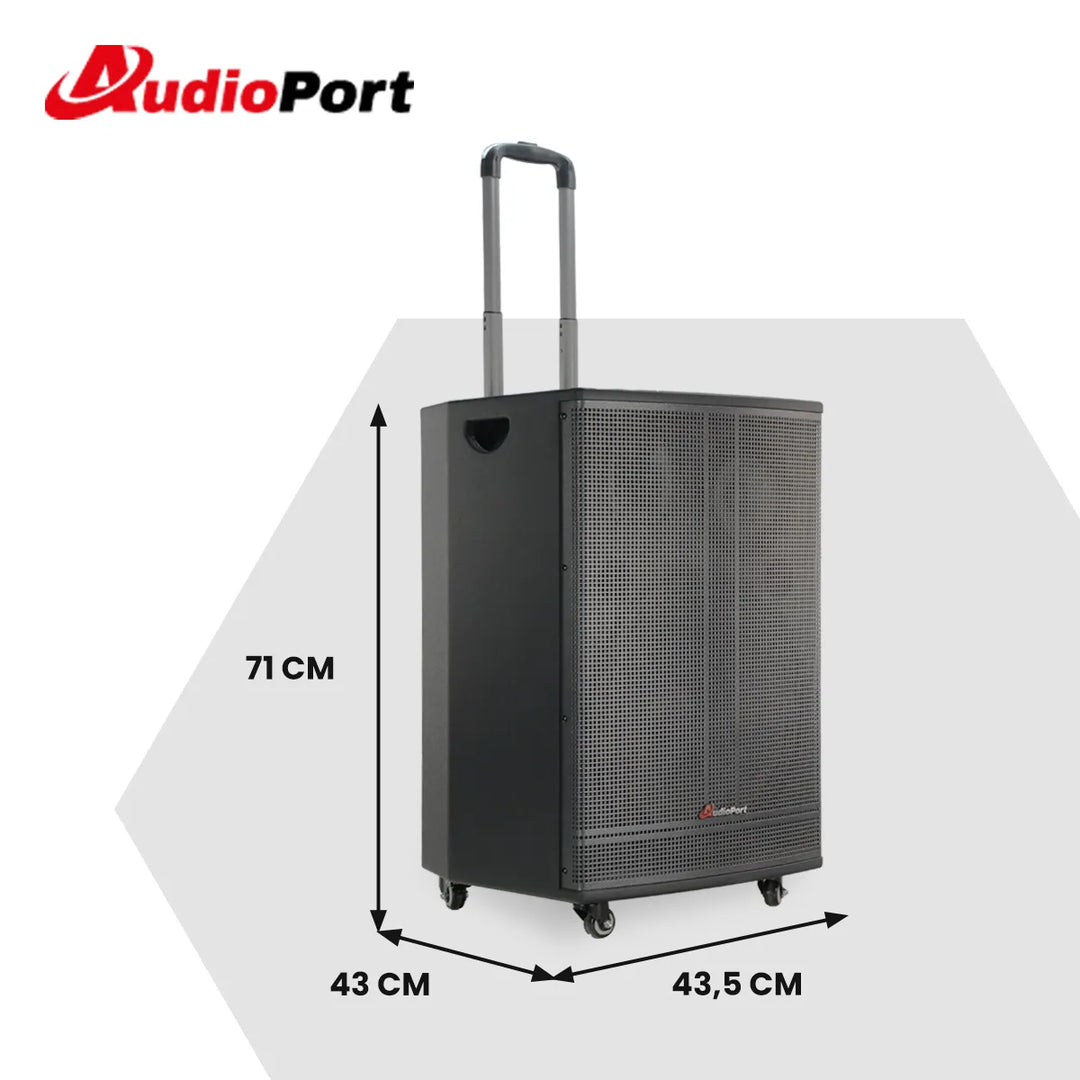 Audioport V15 altoparlante attivo portatile da 500 W con 2 microfoni