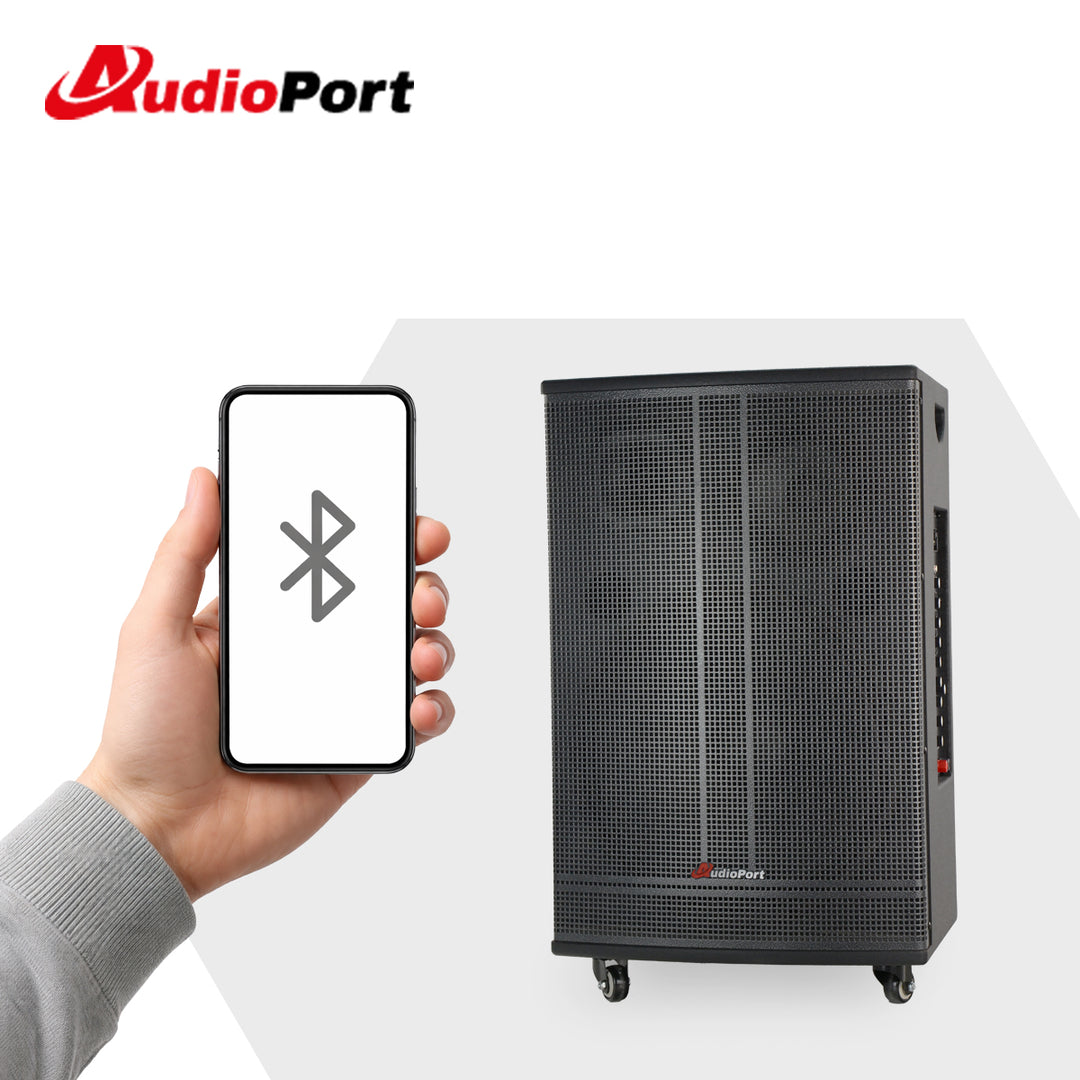 Audioport V15 altoparlante attivo portatile da 500 W con 2 microfoni