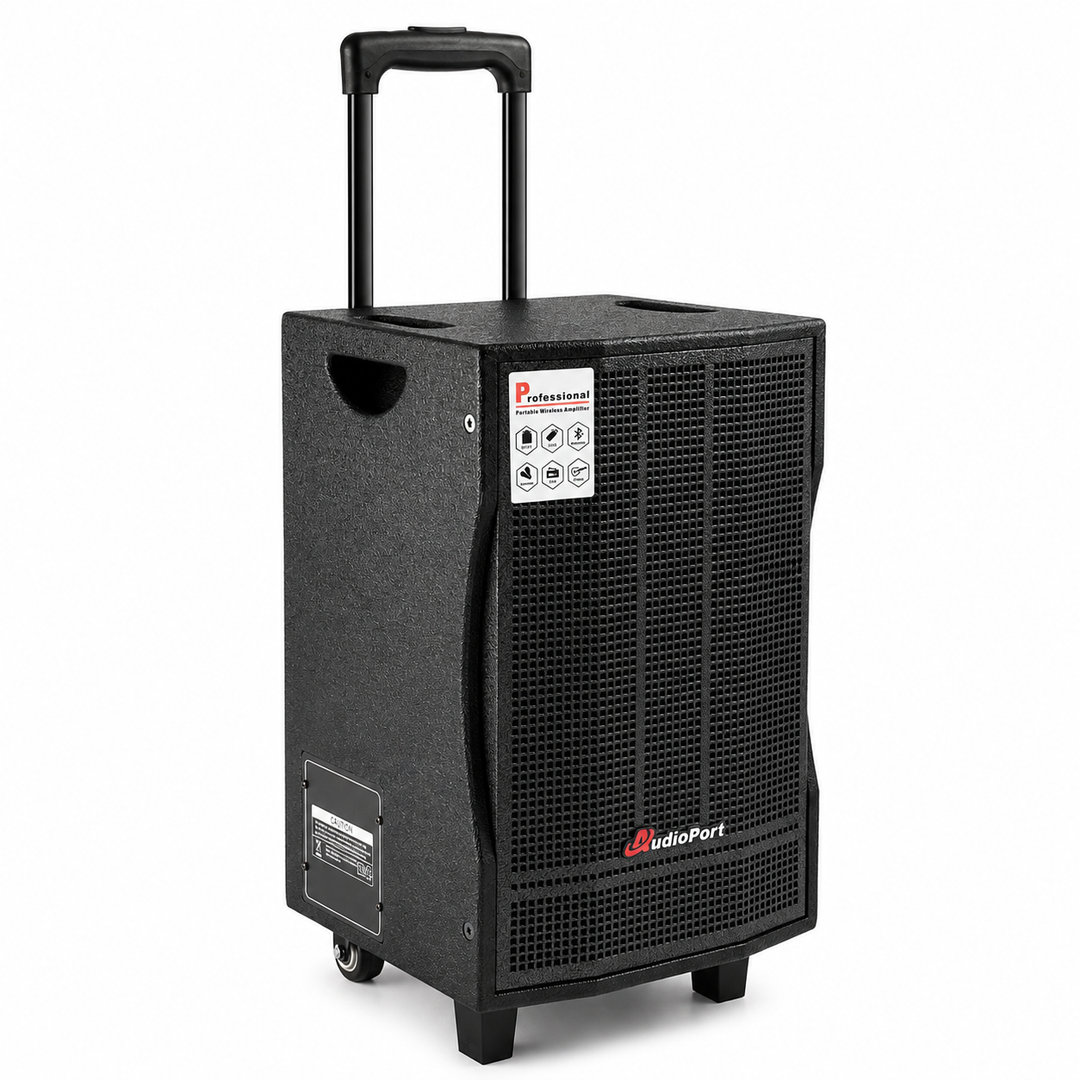 Audioport V8 cassa attiva portatile 250 W con 2 microfoni