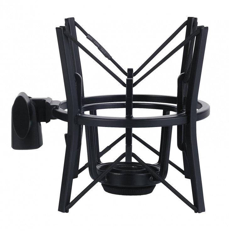 AKG Perception 420 Studio Microphone