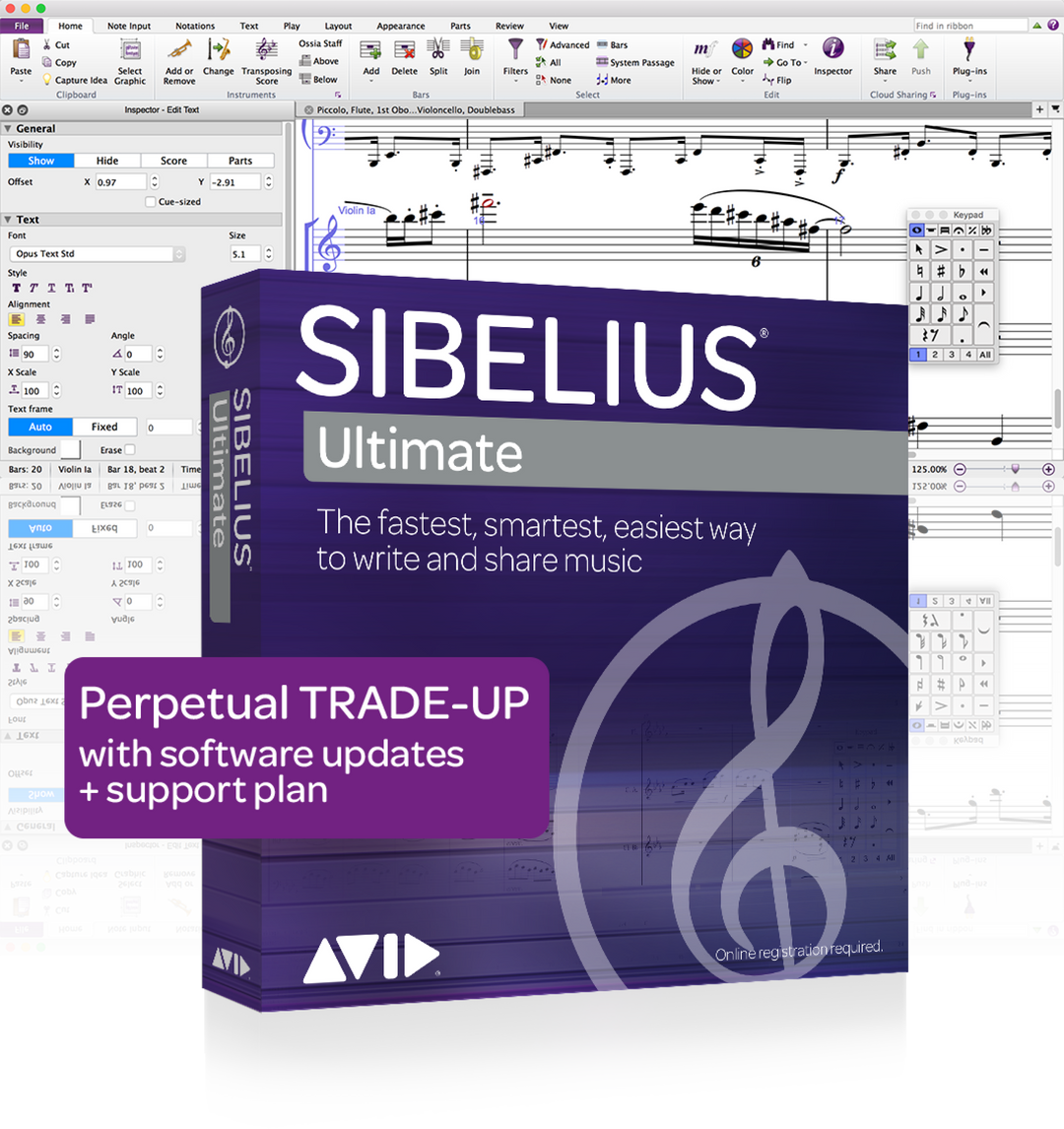 Sibelius Ultimate Licenza perpetua