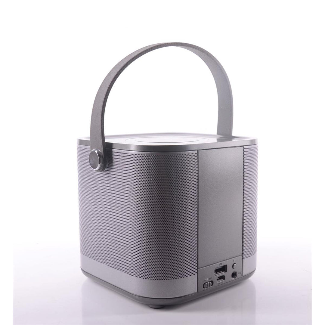 Madison Altoparlante WiFi wireless