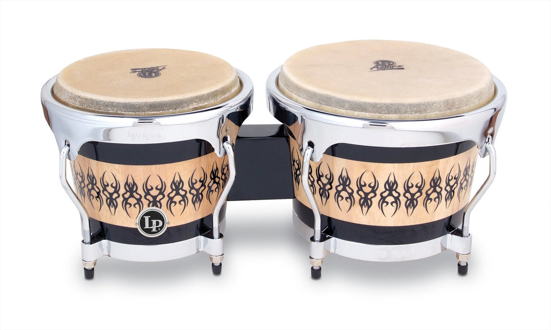 Latin Percezione Bongo Aspire Accent - Scarab (LPA601-SCC)