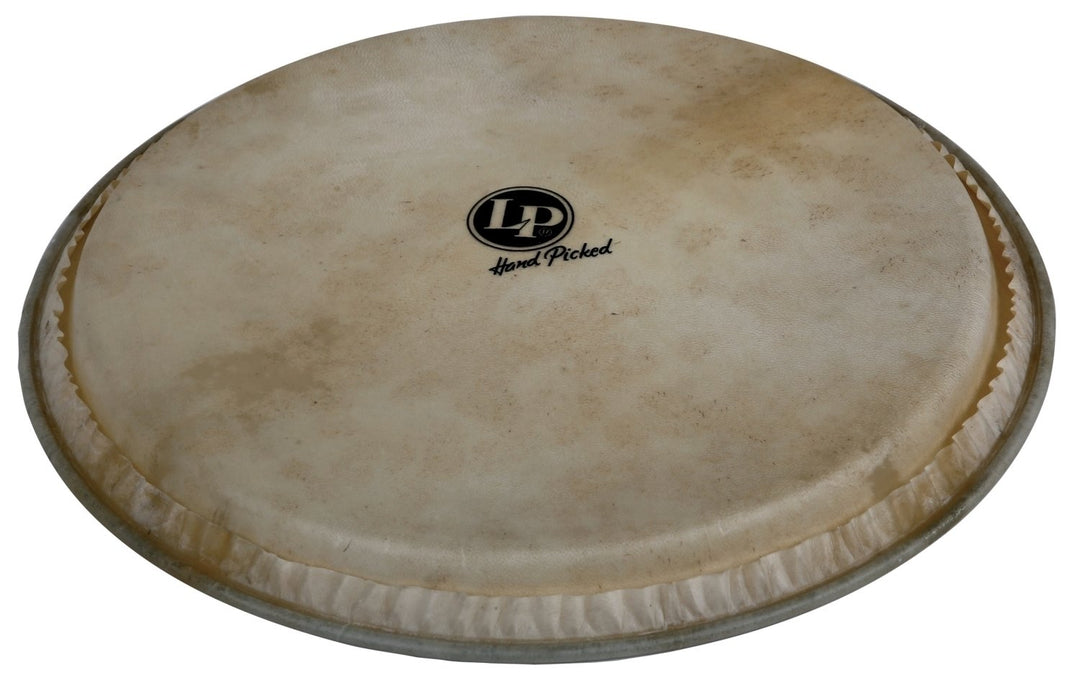 Latin Percussion Pelle per djembe selezionata a mano - pelle di capra 12,5" (LP961)