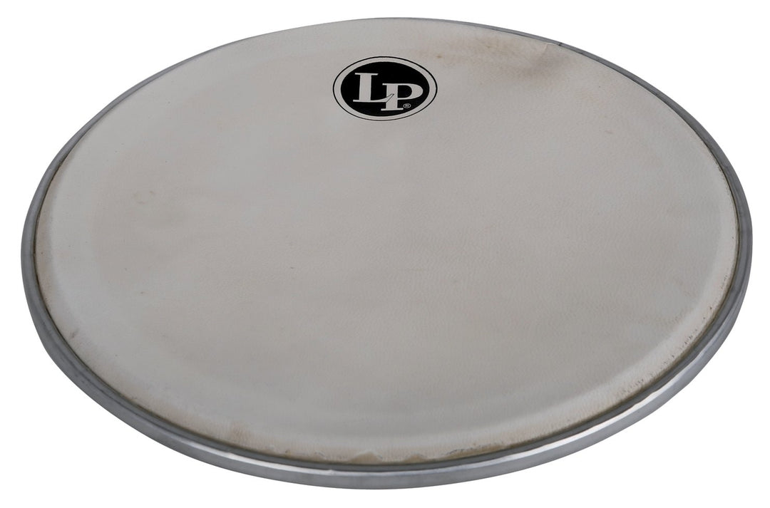 Latin Percussion Percezione head Brazilian Pandeiro LP3010 LP3010N LP3012 LP3012-SM - 10" goat, natural (LP3908)