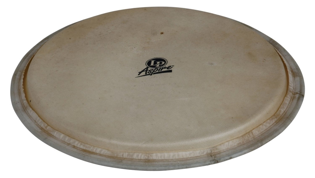Latin Percussion Djembe pelle Aspire - 12,5" pelle di capra (LPA630A)