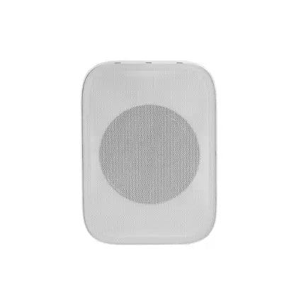 Omnitronic PPS-6T PA Altoparlante da Parete