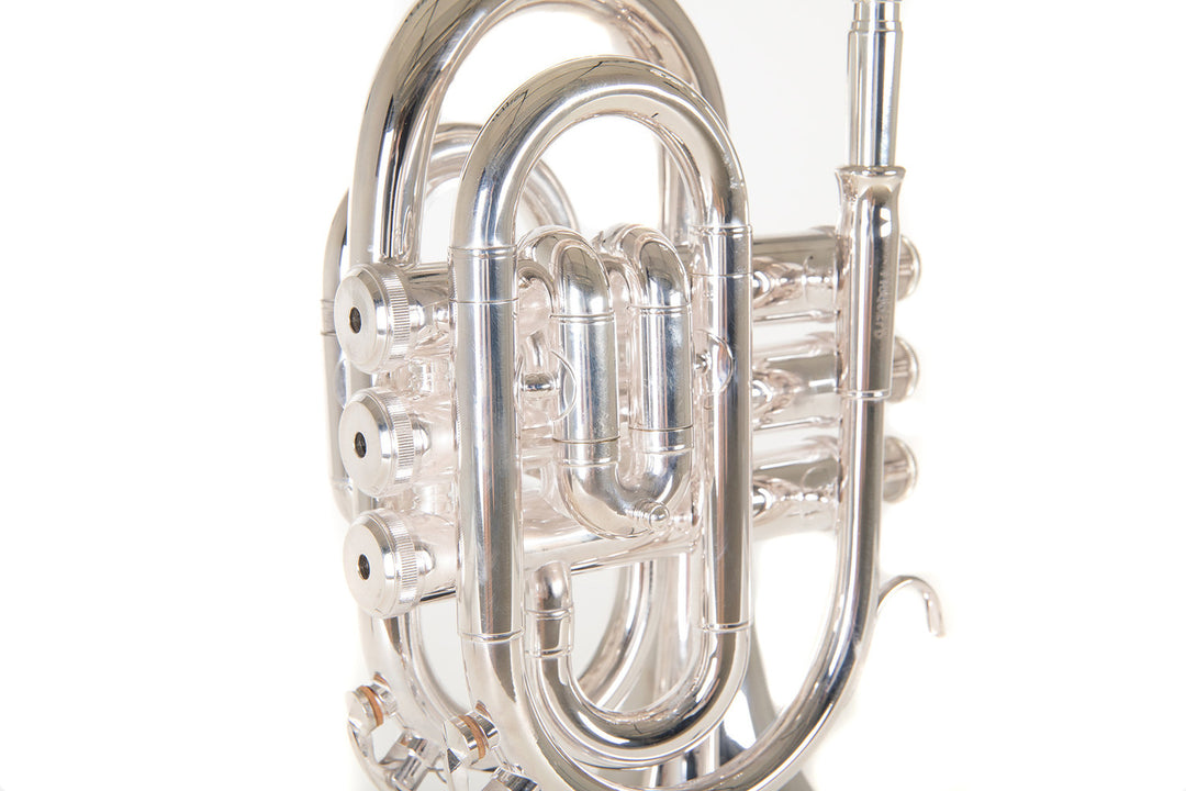 Roy Benson Tromba tascabile in Sib Roy Benson PT-101S - PT-101S