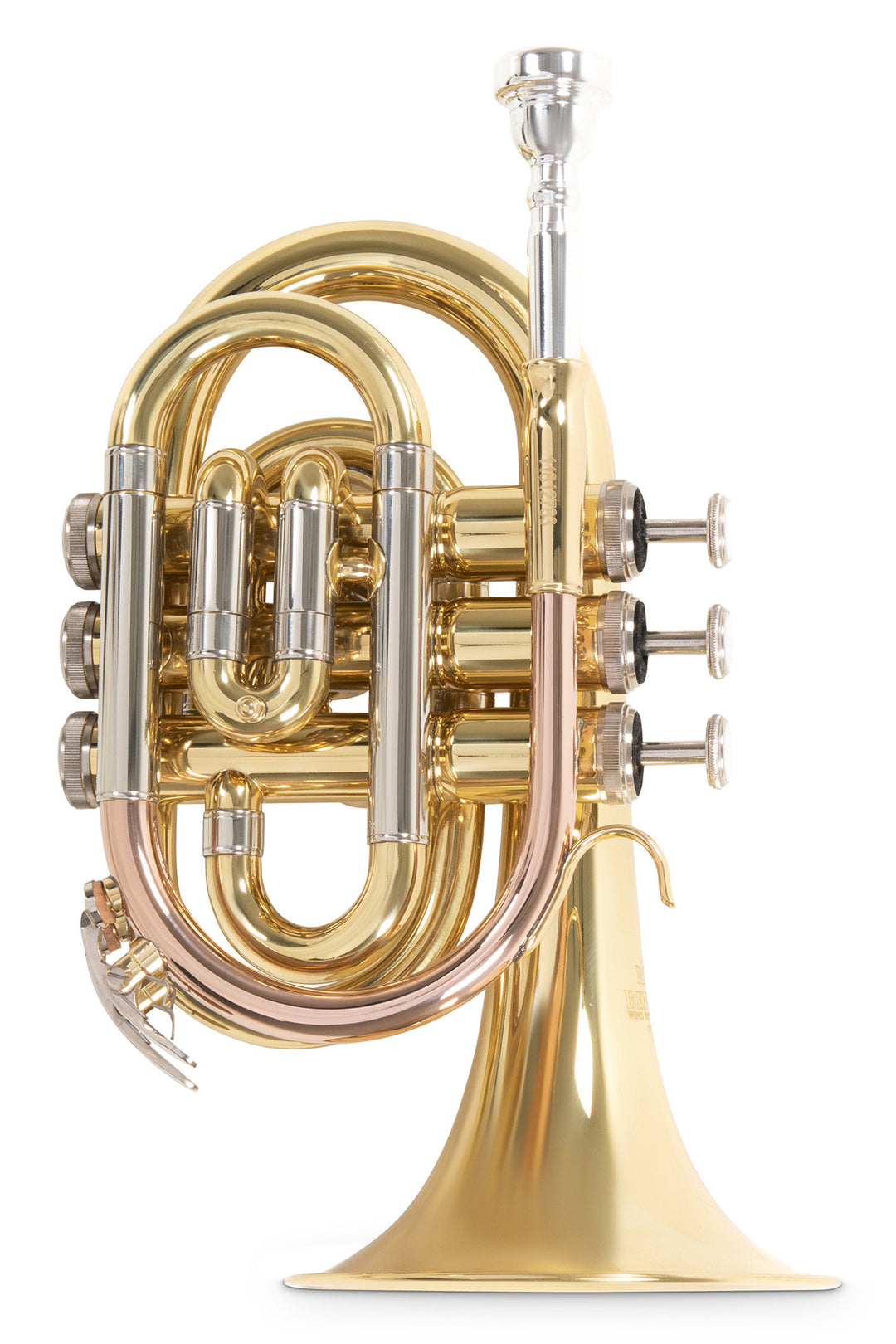 Roy Benson Tromba tascabile in Bb Roy Benson PT-302 - PT-302