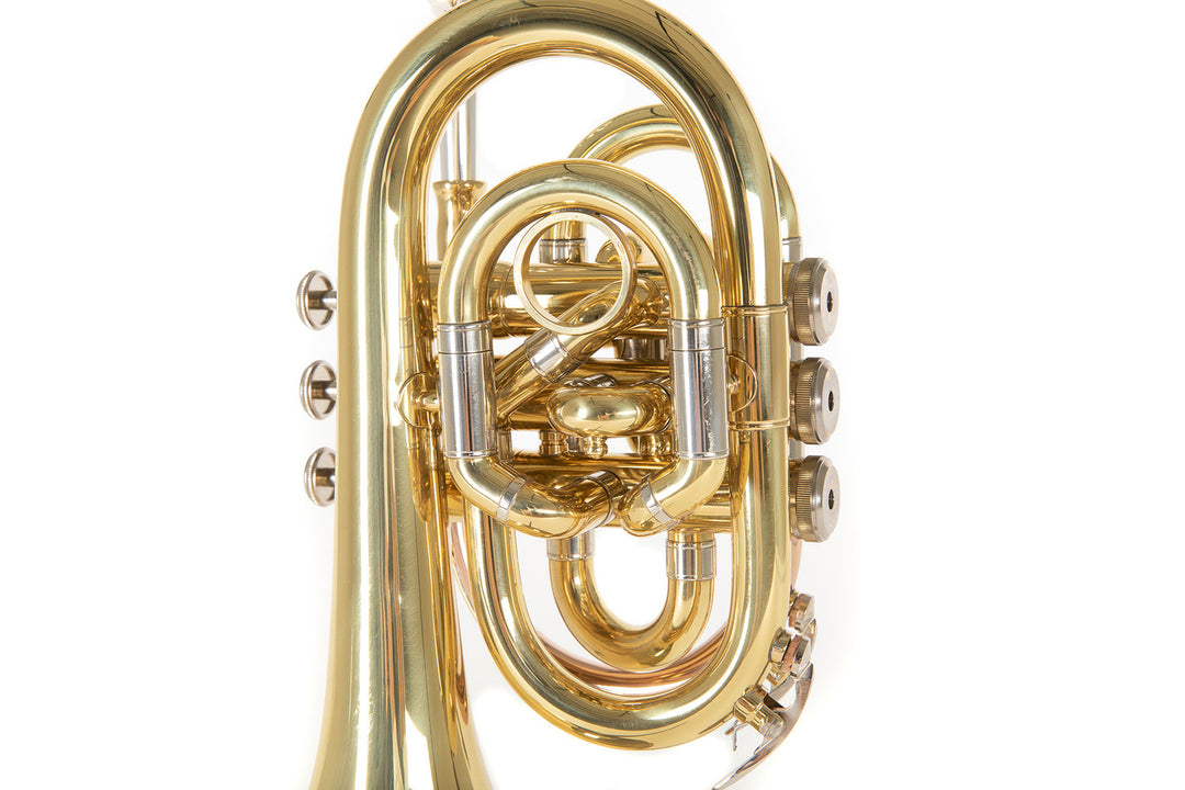 Roy Benson Tromba tascabile in Bb Roy Benson PT-302 - PT-302