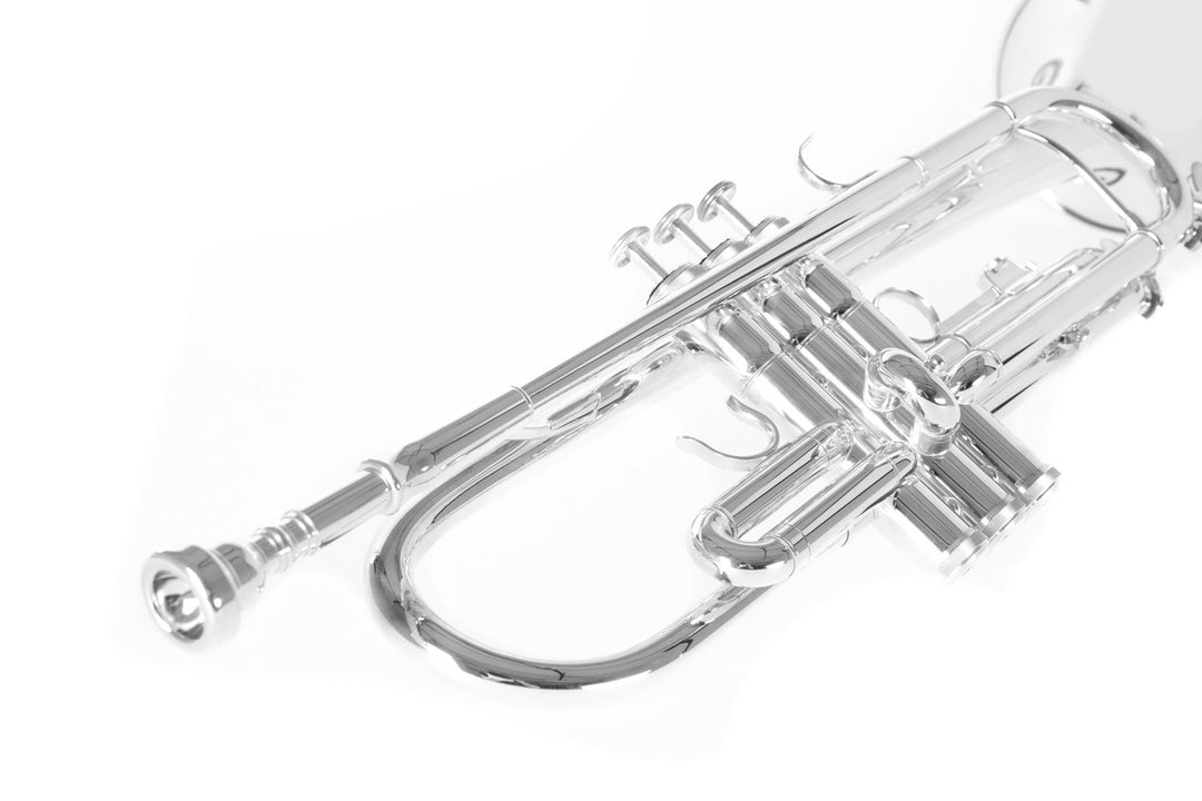 Tromba in Bb Roy Benson Roy Benson TR-202S - TR-202S