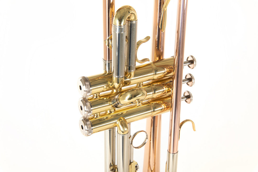 Roy Benson Tromba in Sib Roy Benson TR-202G - TR-202G