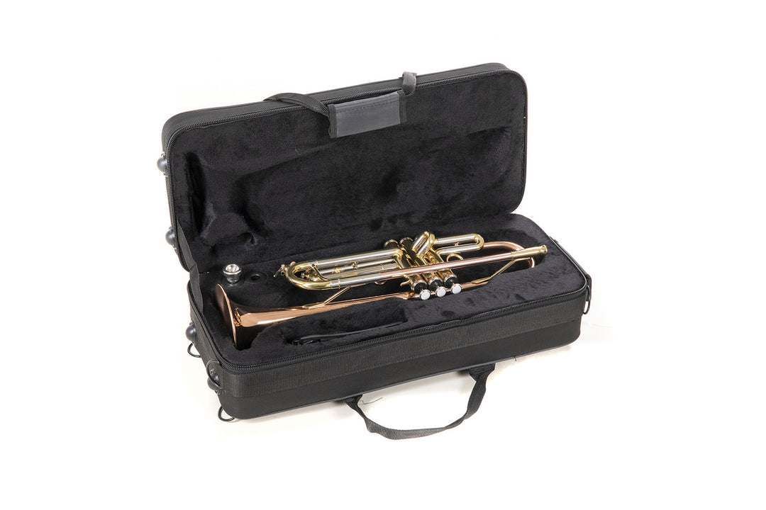 Roy Benson Tromba in Sib Roy Benson TR-202G - TR-202G
