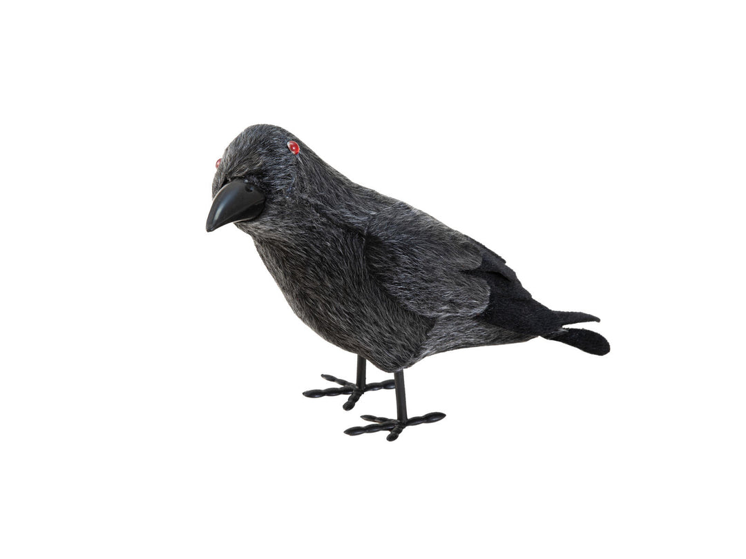 Corvo di Halloween, 18 cm, nero