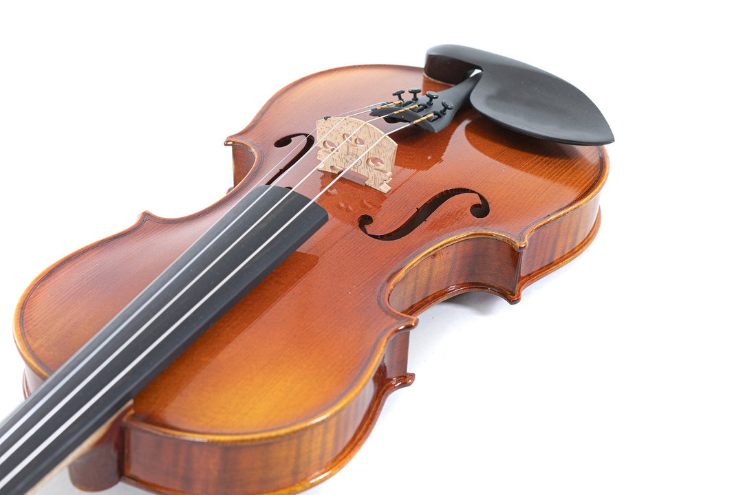 GEWA Violin Maestro 1 - 4/4 (Ready to play incl. GEWA Bio violin shaped case, GEWA Carbon Bow Advanced and Il Cannone strings)