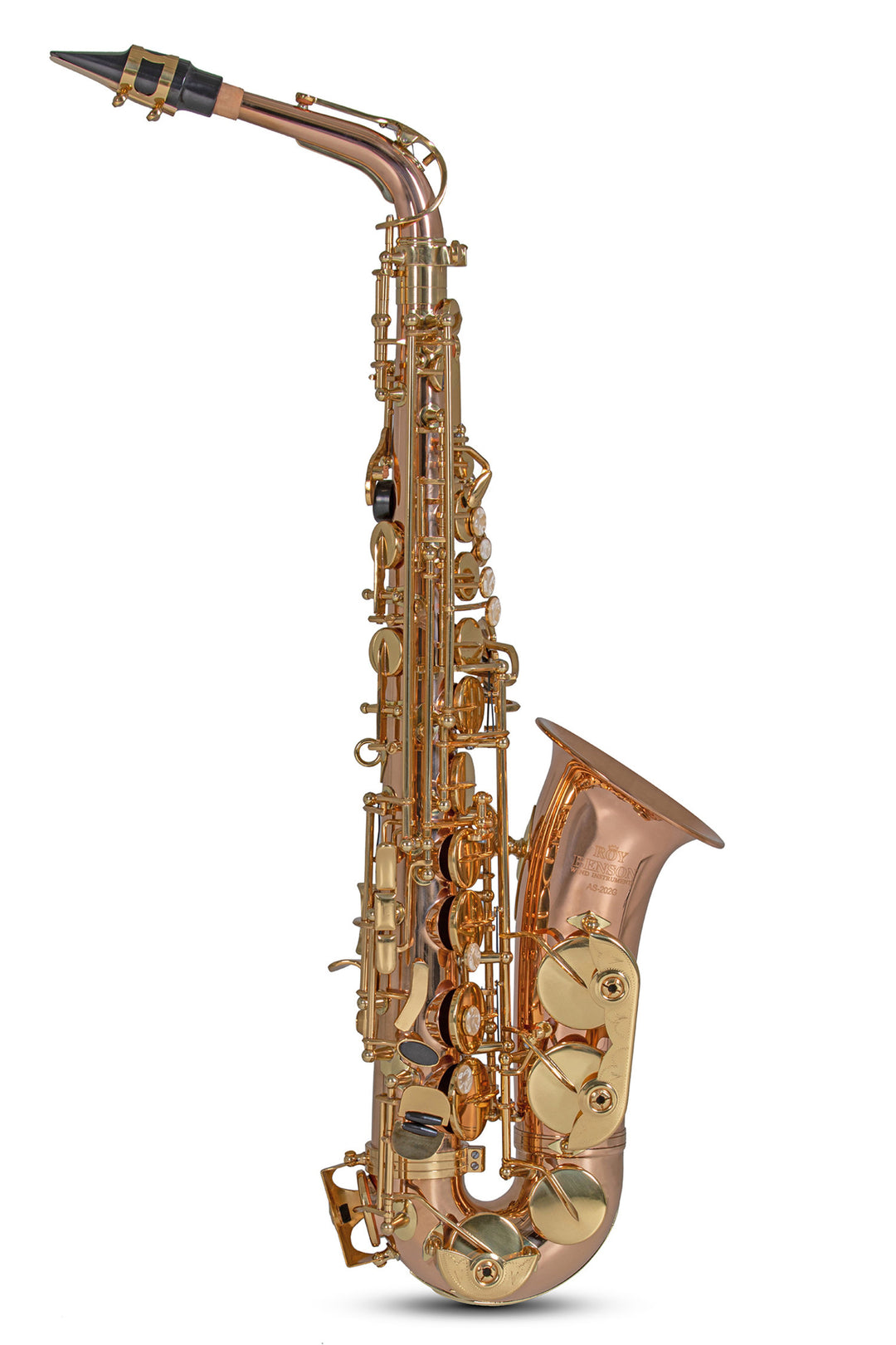 Roy Benson sassofono contralto in Mib Roy Benson AS202G - AS-202G