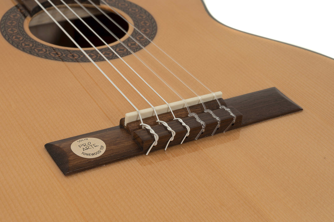 Chitarra classica GEWA Pro Arte GC 50 A - misura 1/2