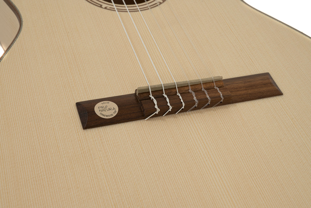 GEWA Pro Natura Silver chitarre classica 4/4