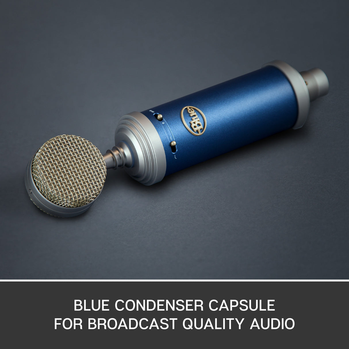 Blue SL Condenser Microphone (Bluebird)