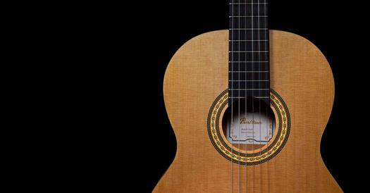 Pearl River CL20 chitarra classica