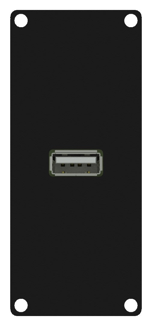 Caymon CASY162 1 posto, USB 2.0 > 4-pin