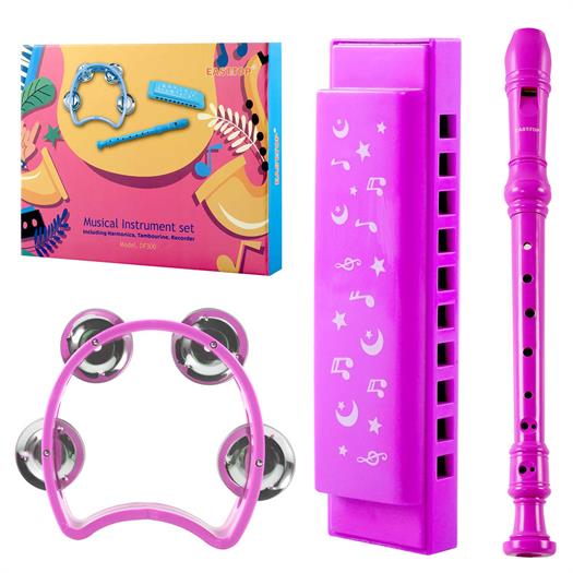 Armoniche, flauto dolce e tamburello set in rosa.