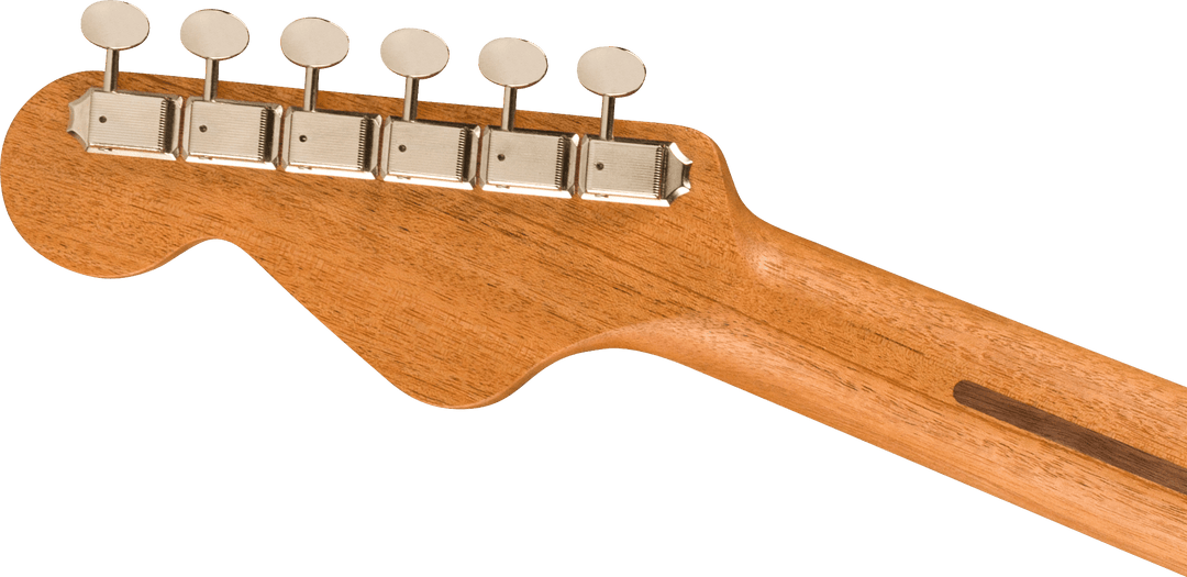 Fender Highway Series Parlor (Tutto Mogano)