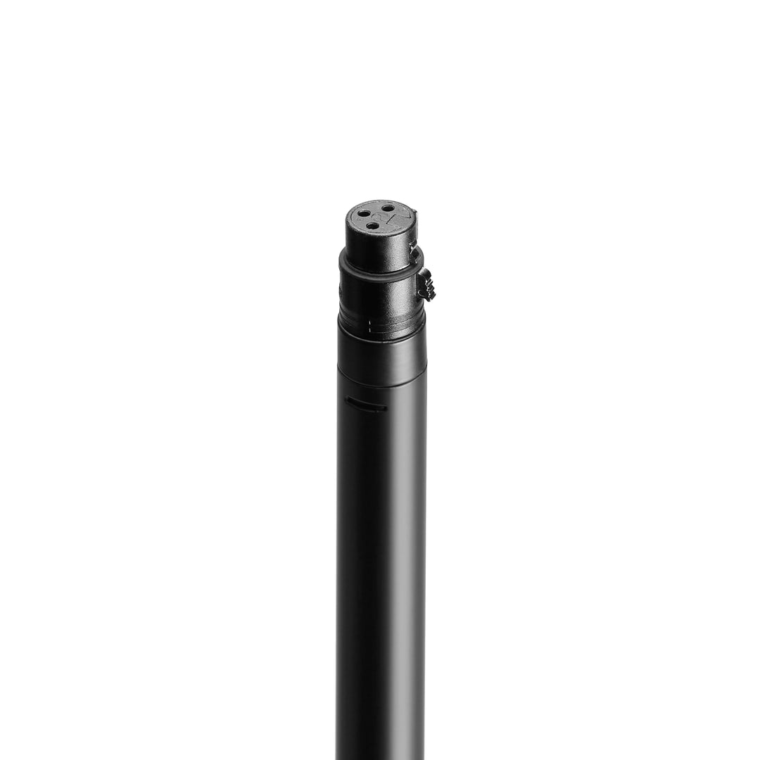 Gravity MS 23 XLR B - Supporto per microfono con connettore XLR e collo di cigno