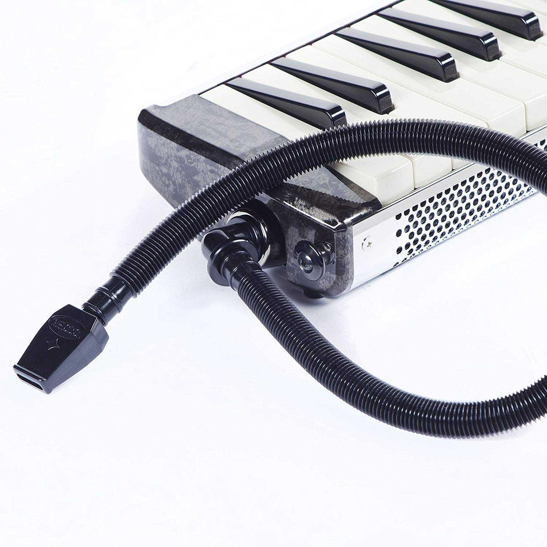 Hammond PRO-44HP V2 High Power Melodiche (Sort)