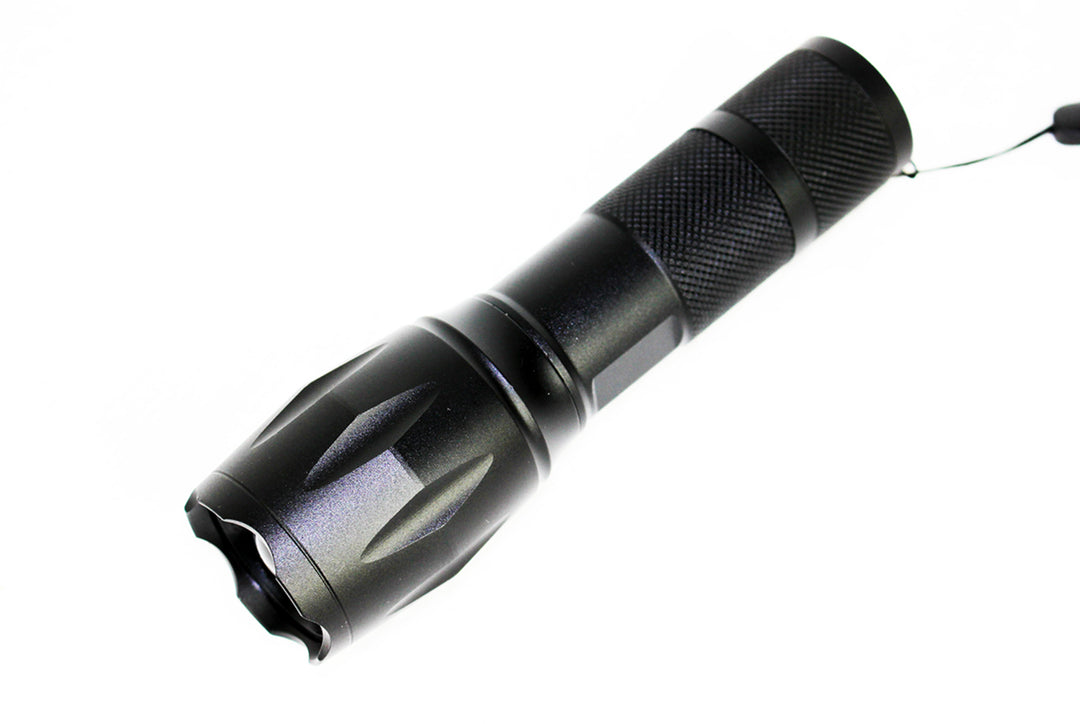 UV Torcia 395 nm LED