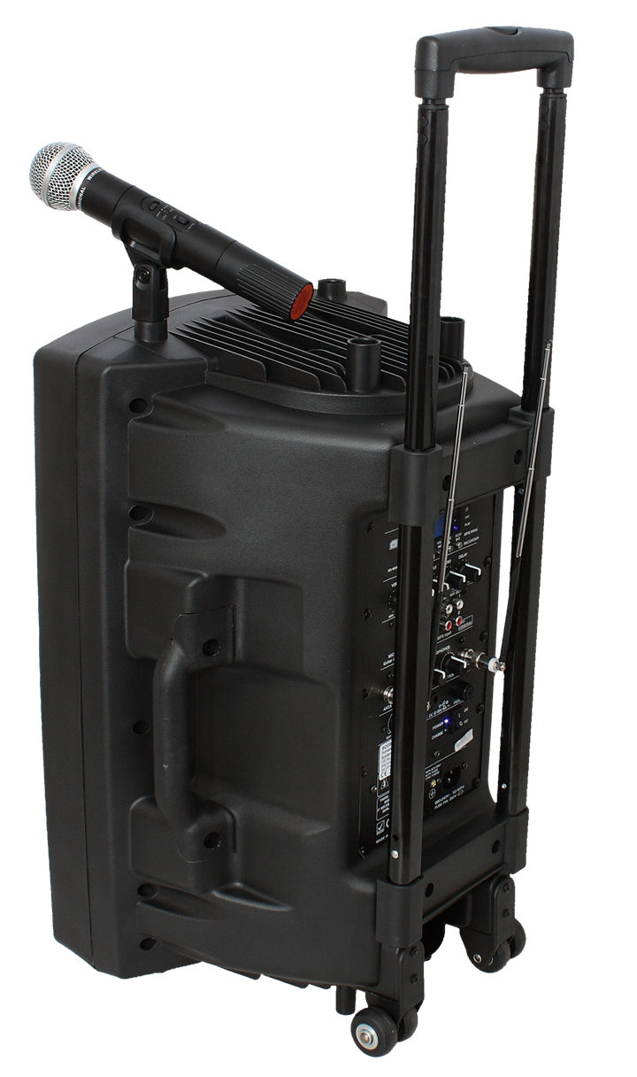 Ibiza Altoparlante Portatile con 15" Basso (Nero, 800W)