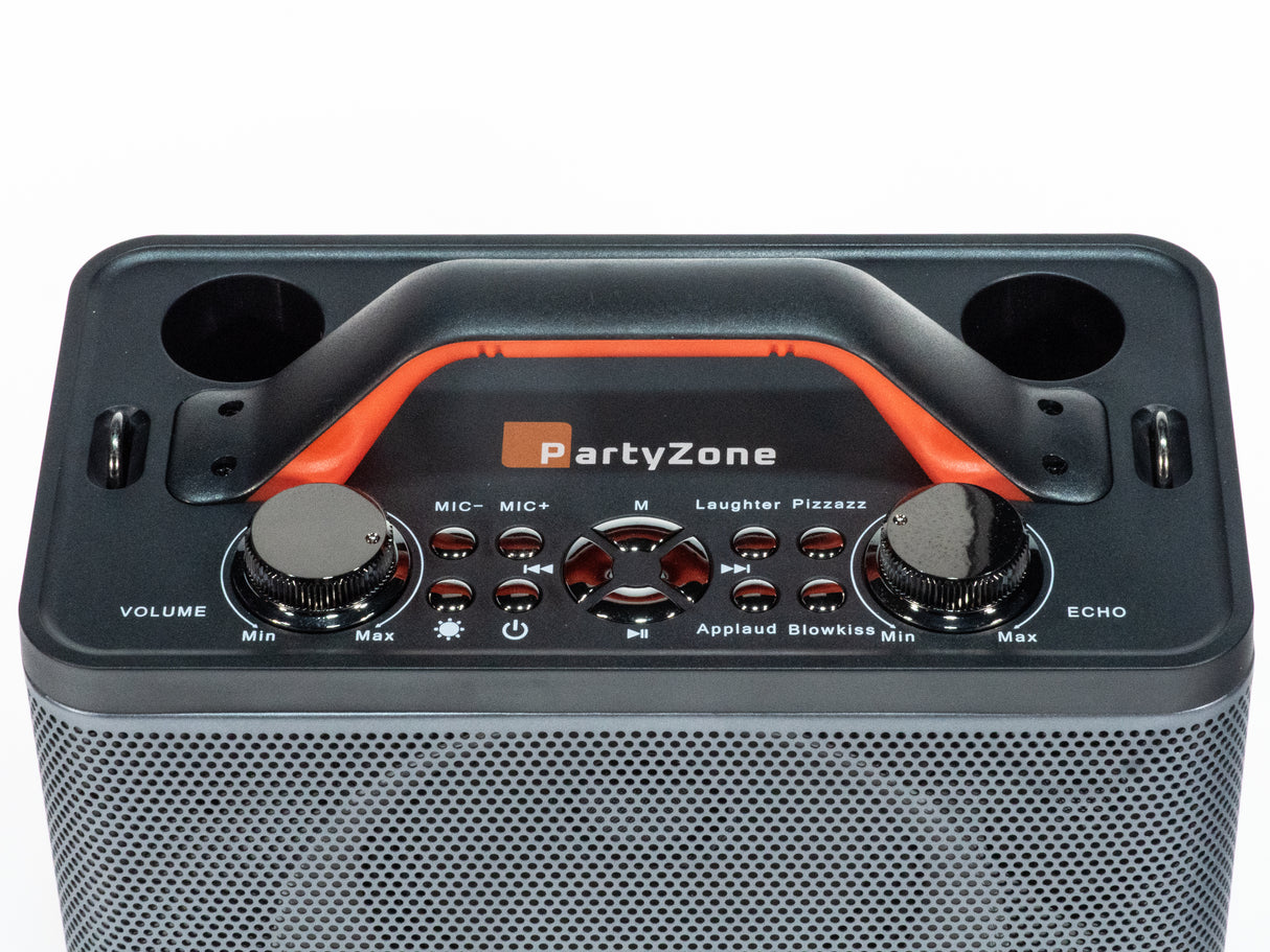 Impianto Karaoke con 2 Microfoni (Nero)