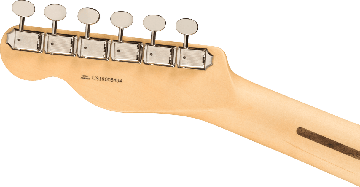 Fender American Performer Telecaster Electric Guitar (Aubergine)