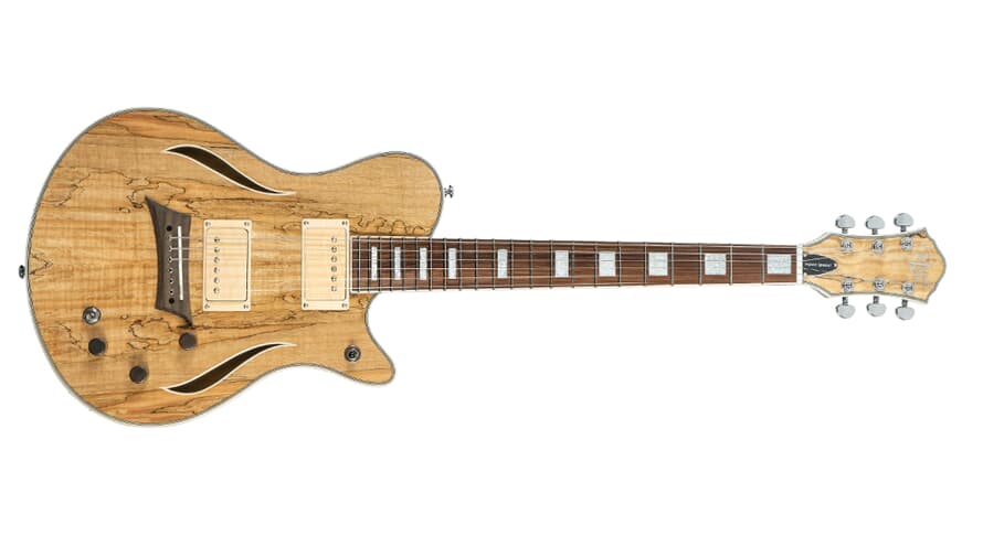 Michael Kelly Hybrid Special chitarra ibrida, Spalted Maple