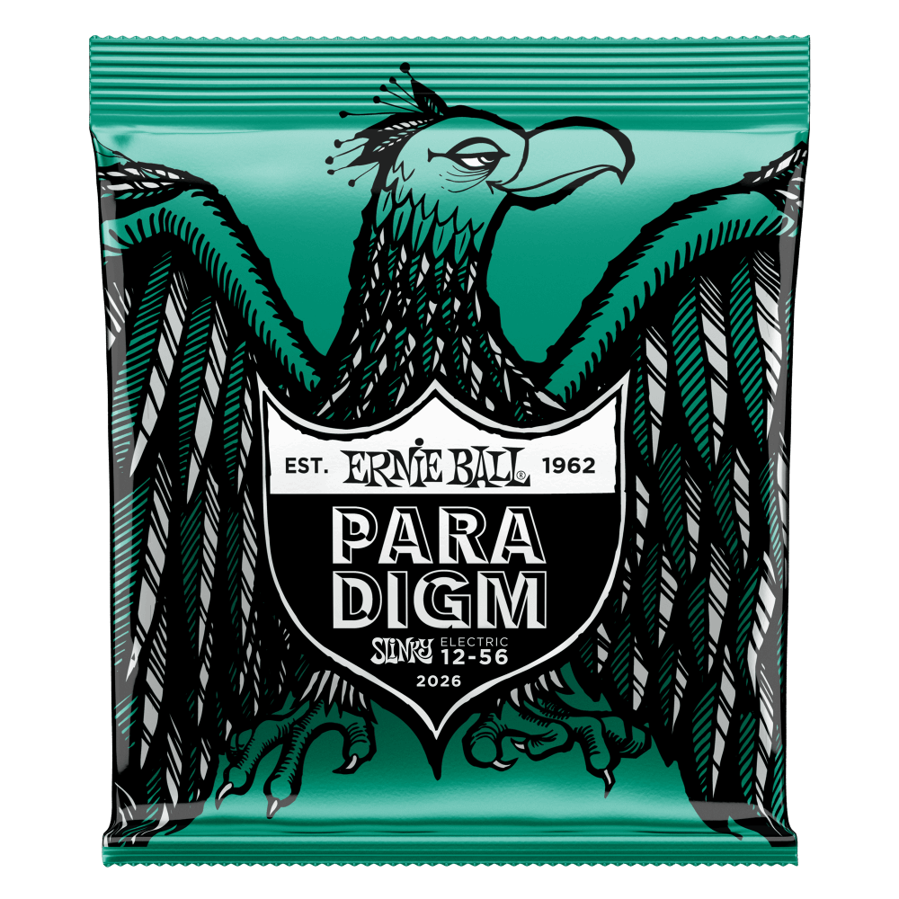 Ernie Ball Slinky Paradigm Corde per Chitarra (El-Guitar)