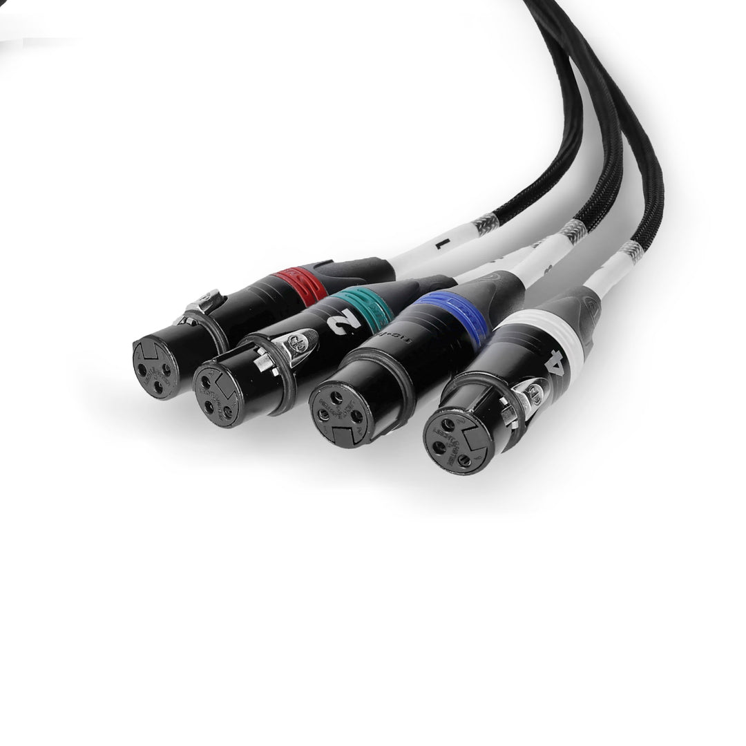 Palmer AoC Loom XLRf - Cavo Audio over Cat da etherCON a 4 connettori XLR femmina