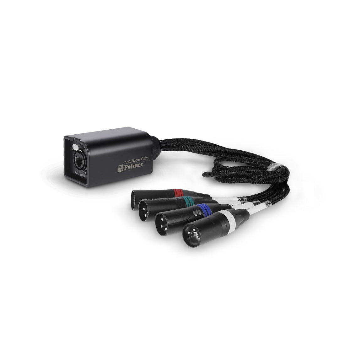 Palmer AoC Loom XLRm - cavo Audio over Cat da etherCON a 4 x XLR maschio