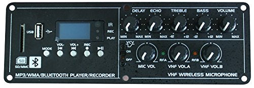 Portable Speaker for Speakers and Tour Guides